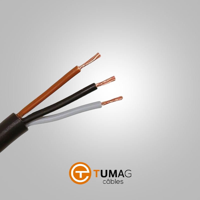 CABLE SOUPLE TUMAG RVK NOIR 3X25mm²